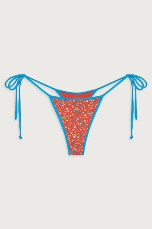 Seaside Farm Frankies Bikinis Hazel Floral Skimpy Bikini Bottom | 62574-WZLI