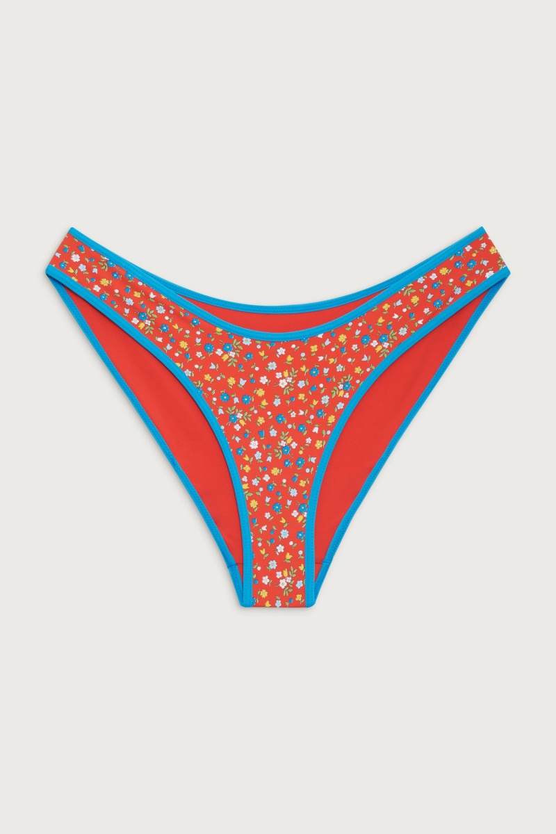 Seaside Farm Frankies Bikinis Catalina Full Coverage Bikini Bottom | 48956-IYNB